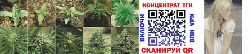 Дистиллят ТГК вейп  Купить где  Вологда 